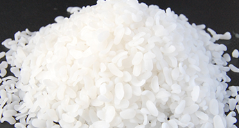  填充母料是有那幾部分組成的？